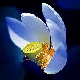 及格以上 《任天堂Switch运动》媒体评分汇总